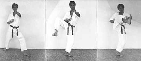 inside crescent kick
